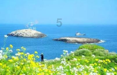 夏季热带海滩逃生