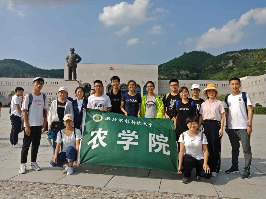 寻找火鸡