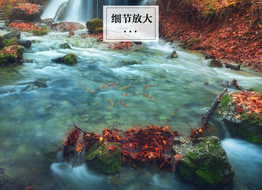 2024年越南国际消防安全与救援设备展览会
